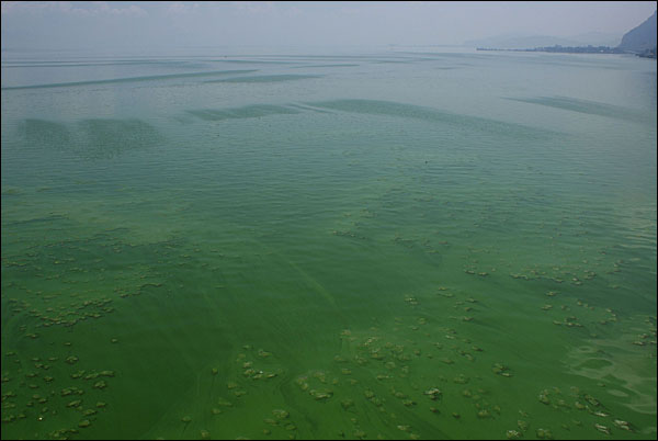 오랜 부영양화로 호수 물빛이 녹색으로 변해버린 뎬츠.