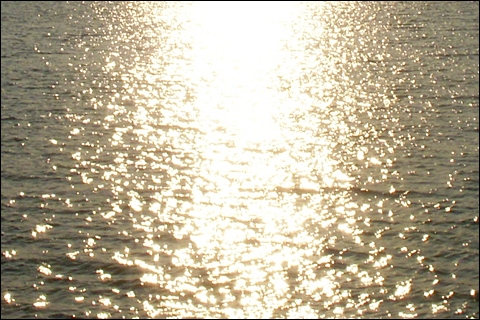  저녁 햇살에 반사되어 반짝이는 금강. 금강하굿둑 부근은 70년대까지만 해도 물속에서 움직이는 소라가 보일 정도로 물이 맑았습니다. 

