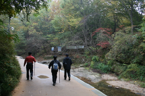 계곡을 따라 오르는 수락산 등산로 아침 일찍 등산을 시작해서 그런지 진입로는 한산했다.