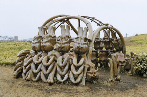 이와주쿠 박물관 앞에 전시된 매머드 코끼리뼈로 만든 집