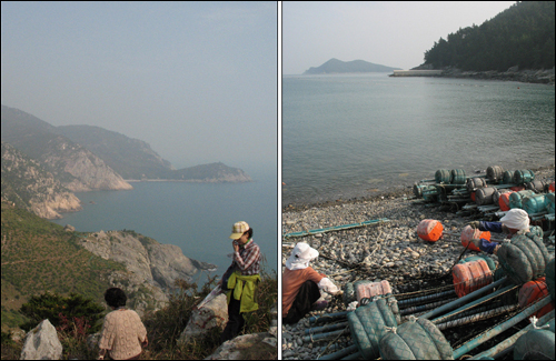 청산도. 범바위 가는 길에 만난 풍광(왼쪽)과 진산리 갯돌밭에서 김발 작업을 하고 있는 어민(오른쪽).