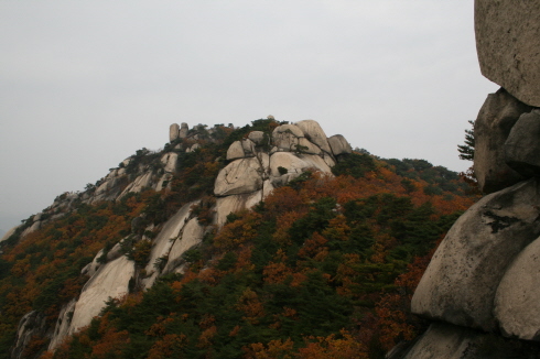 화강암 큰바위들과 단풍의 하모니, 수락산의 묘한 조화 정말 큰 바위들도 많았고 소박한 단풍들도 철철 넘쳤다.