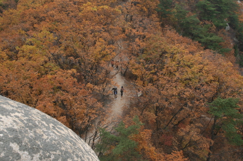 수락산 꼭대기에서 올라온 길을 내려다 보다 저 단풍 사이로 걸어왔구나! 가을 한복판을!