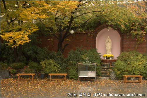 겨울을 재촉하는 비를 함께 맞고 있는, 인천 동구 송림4동 천주교회 성모님.