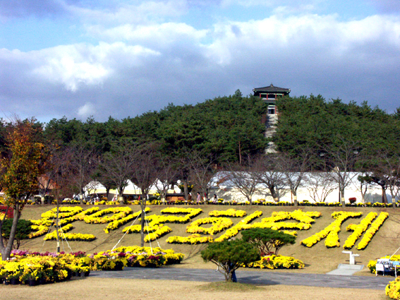 왕인 국화축제   국화로 만든 왕인국화축제 타이틀