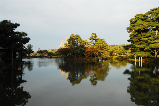 정원 가운데 자리한 연못 가스미가이케로 가지를 뻗은 소나무에 설치중인 유키츠리

