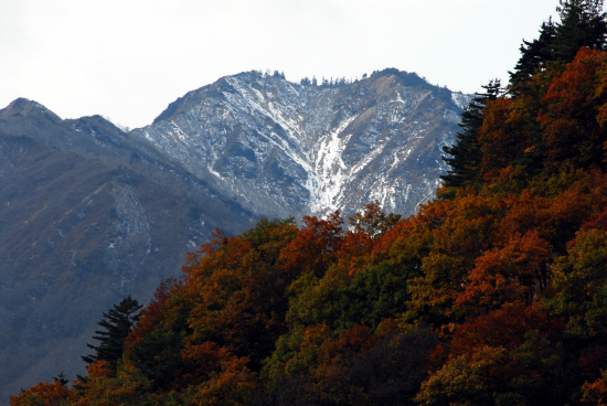 시라가와고에서 본 가을과 겨울사이  

