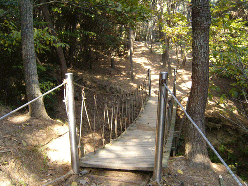화손대로 가는 숲속길 중 흔들거리는 다리가 있다.