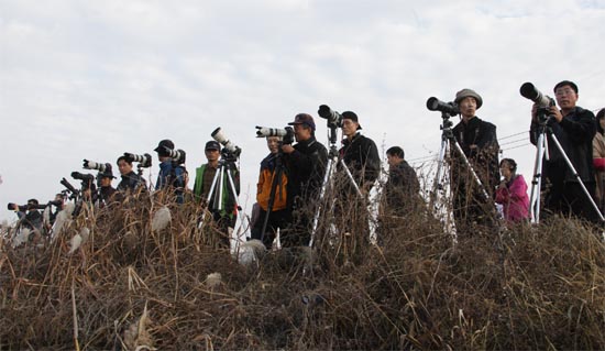 철새도래지인 경남 창원 주남저수지 제방에는 철새사진을 촬영하려는 철새사진 애호가들로 장사진을 이루고 있다.