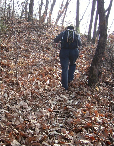 낙엽이 수북이 쌓인 산길을 오르다