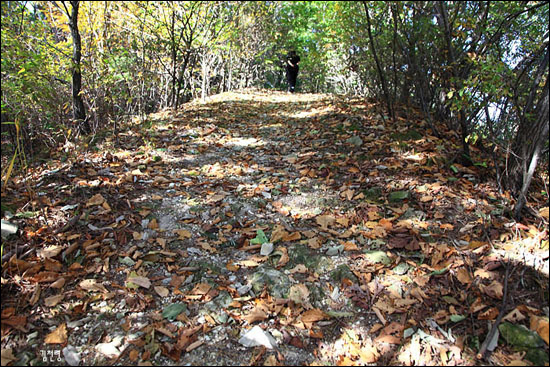 고달사지 부도에서 산길로 접어들어 5분 정도 걸어가면 경기도 기념물 제198호로 지정된 석실묘가 나온다.