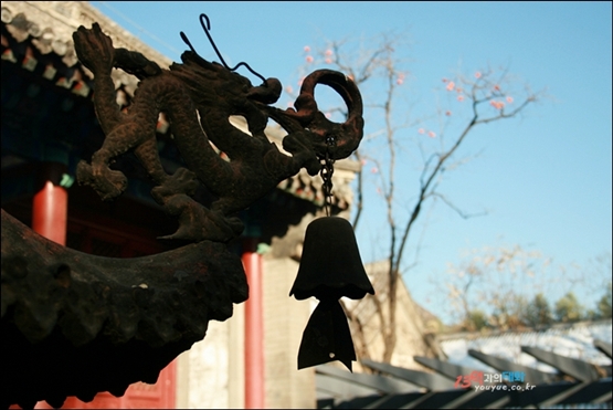 홍뤄쓰 천왕전 처마와 와당, 용문양과 풍경 그리고 파란 하늘을 배경으로 감나무가 서 있다.