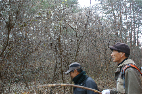 숲길을 안내하고 있는 정만식 할아버지(왼쪽)와 김종수 할아버지.
