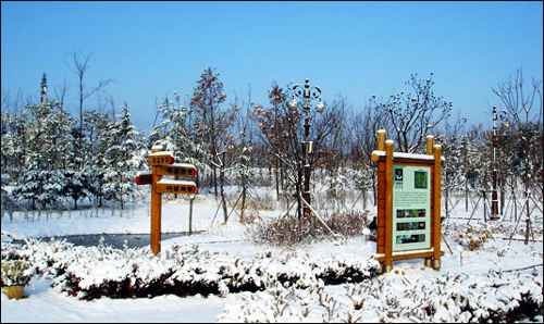 한밭수목원의 겨울 풍경