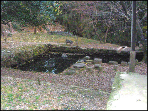 열화정 경내에 있는 연못. ㄱ자로 조성된 연못은 정자 앞에 자리한다.