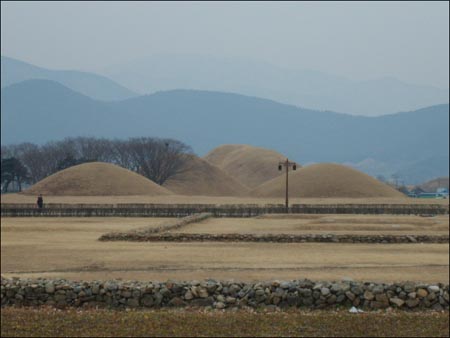 경주 시내에 있는 신라 왕릉의 모습.