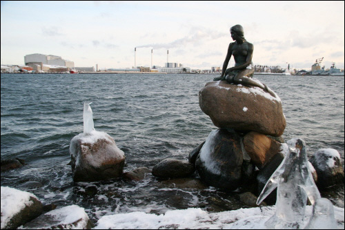 코펜하겐의 명물 인어공주 동상 앞에 화가 최병수씨가 설치한 얼음 펭귄들. 지구온난화로 인한 생물 다양성의 긴박한 위기를 표현한 것이다.