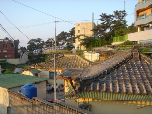 한마당 쓰는 한 지붕 아래 사람들