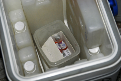 약효를 유지하기 위해 백신은 냉장보관 된다.
