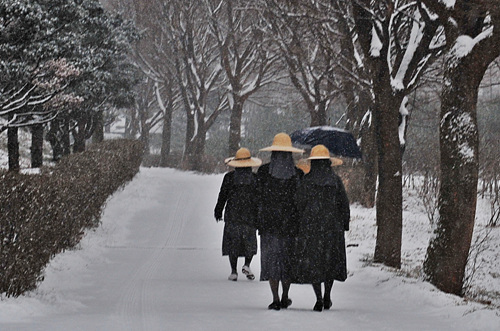 수녀님들이 한적한 길을 따라 산책을 하고 있습니다.