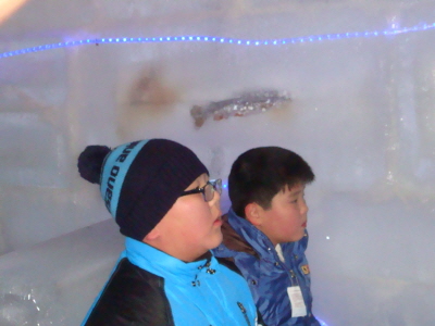축제장 내 얼음카페(ICE CAFE)  내부 풍경 - 얼음벽 속에 박제된 송어 한마리가 유독 눈에 띈다.