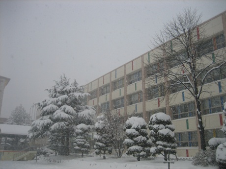 방학중인 학교는 온통 눈세상이다.