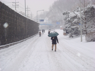 출근을 위해 터널을 걸어나온 시민들