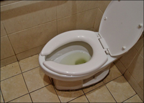 화장실 청소부들의 2010 새해 소망은 시민들이 '변기 물을 내리는 것'이다. 하루에 한 화장실 당 평균 30명은 대소변을 보고 물을 내리지 않고 간다. 