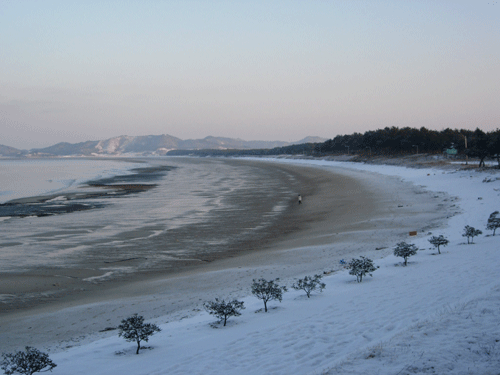  증도의 대표적인 명소 리조트 옆 우전해수욕장.