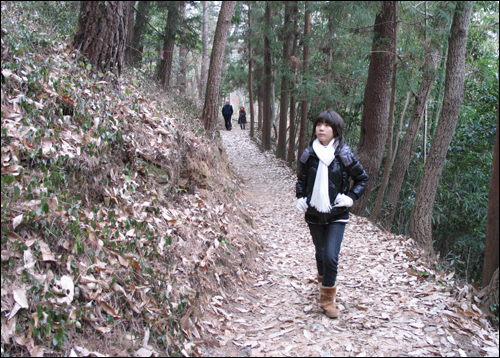 오솔길. 백련사에서 다산초당에 이르는 숲길은 걷기에 좋다.