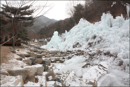 비슬산에 마련된 얼음동산의 모습이다.