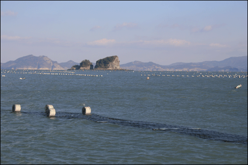  검은 김발이 바람에 넘실댄다.