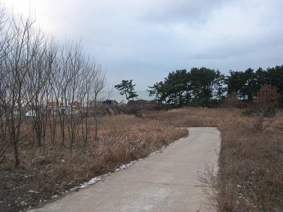 삽시도는 산책코스로 제격인 오솔길이 마을과 해안으로 이어진다. 