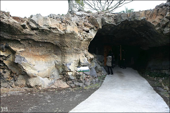 이곳에서 지하로 들어가 동굴을 지나야 까페가 나온다.허공에 매달린 나무 뿌리가 이채롭다.
