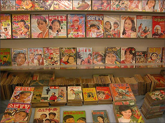 다양한 종류의 잡지들. 