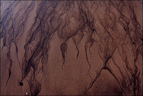 물이 빠지면서 모래사장에 신기한 문양이 생겼다.