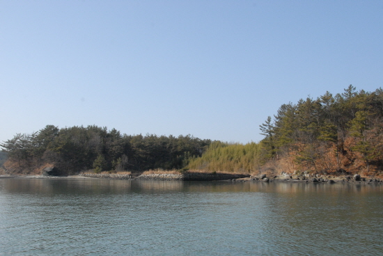 가운데 부분에 방조제 둑이 보이고 뒷편으로 대숲이 보인다.