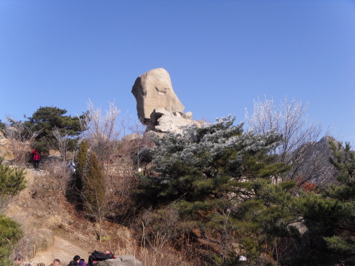 사모바위의 옆모습. 한 지붕 두 가족처럼 나무에 핀 얼음 꽃이 사모바위를 떠받치고 있는 꽃받침 같다.