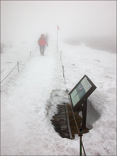 구름 사이를 헤치고 나타나는 등산객들. 눈 밑에 깔린 원래의 등산로가 살짝 들여다보이는 길.