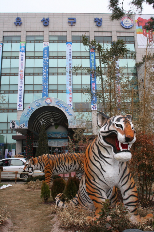 유성구청 광장에 설치된 '호랑이 학습동산'의 호랑이 조형물.