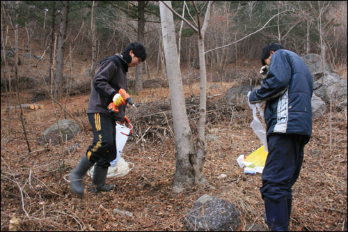  고로쇠마을 사람들은 백운산 계곡의 산자락을 오르내리며 고로쇠수액 채취에 분주하다. 