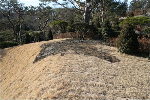 고 김대중 전 대통령 묘역 바로 뒤 잔디 일부가 검게 탔다. 