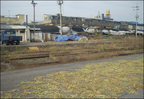 구 군산역 플랫폼에서 바라본 역전 종합시장, 지금도 여기저기에서 사창가 흔적이 여기저기에 남아 있다.
