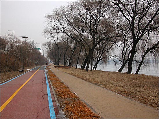 한강 북쪽 자전거도로. 올림픽대교 가는 방향의 버드나무길. 에돌아가는 일 없이 구리시민한강공원과 곧장 연결된다.
