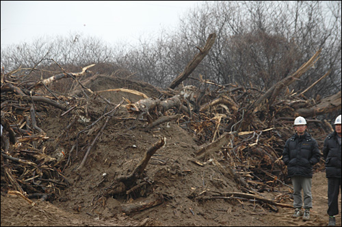 4대강정비사업 낙동강 함안보 공사현장에 쌓여 있는 나무의 잔해들이다.