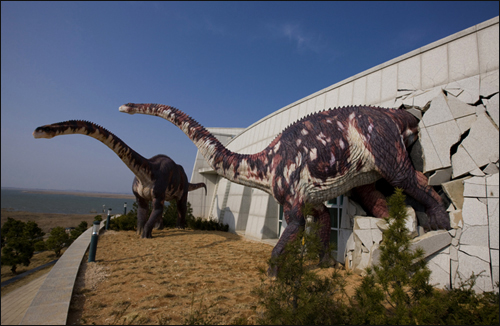해남공룡박물관은 마치 공룡의 세계에 들어온 것 같은 착각을 불러 일으키며 공룡의 모든 것을 만날 수 있다.