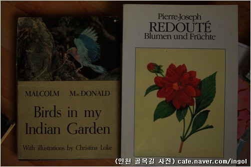 사진으로 빚은 새 도감 하나와, 꽃과 열매를 그림으로 담은 책 하나.
