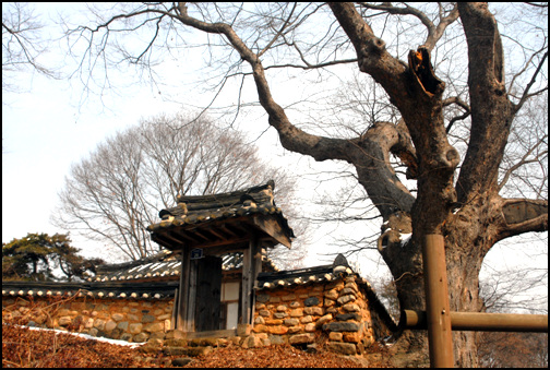 구 애한정 예전 처음으로 지었던 애한정. 주변 느티나무와 어우러져 빼어난 풍취를 자랑하고 있다.