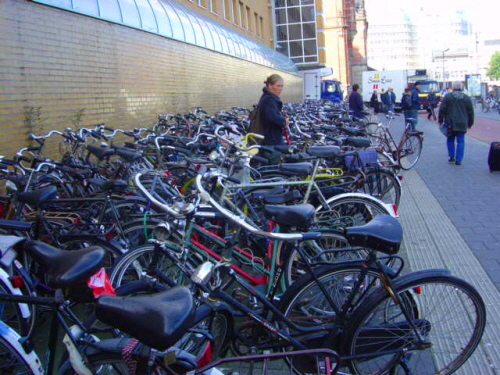 네덜란드는 많은 사람들이 자전거를 타고와 기차역 자전거 주차장에 두고 기차를 탄다. 