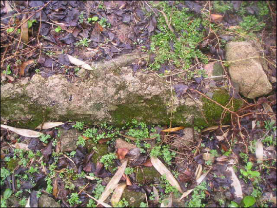 땅속에서 캐낸 콘크리트 덩어리. 이 년밖에 안 됐는데 이렇게 고풍스럽게 이끼가 앉았다. 이끼도 돌이나 흙에서 나는 것과는 아주 다르다. 시멘트 특유의 독성(?) 때문일 게다
